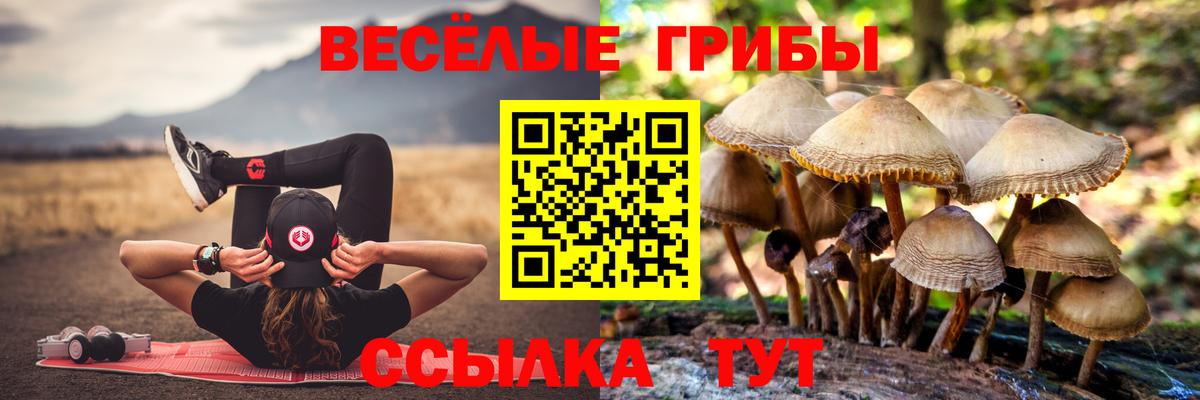Сухой Лог  Галлюциногенные грибы Magic Shrooms  Галлюциногенные грибы ЛСД  Вход с VPN 
